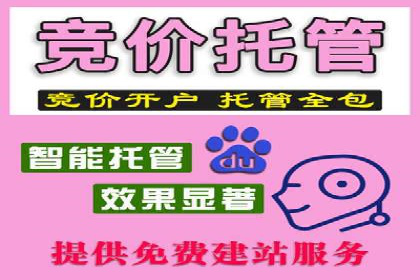 揭秘百度包年竞价优势：成功案例深度解析